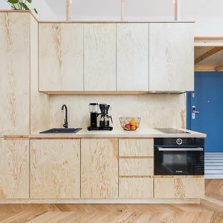 Hip Loft With Skylight Windows شقة